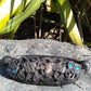 Wakahuia, Feather box, Treasure box from Pacific Jewel - Southern Paua New Zealand