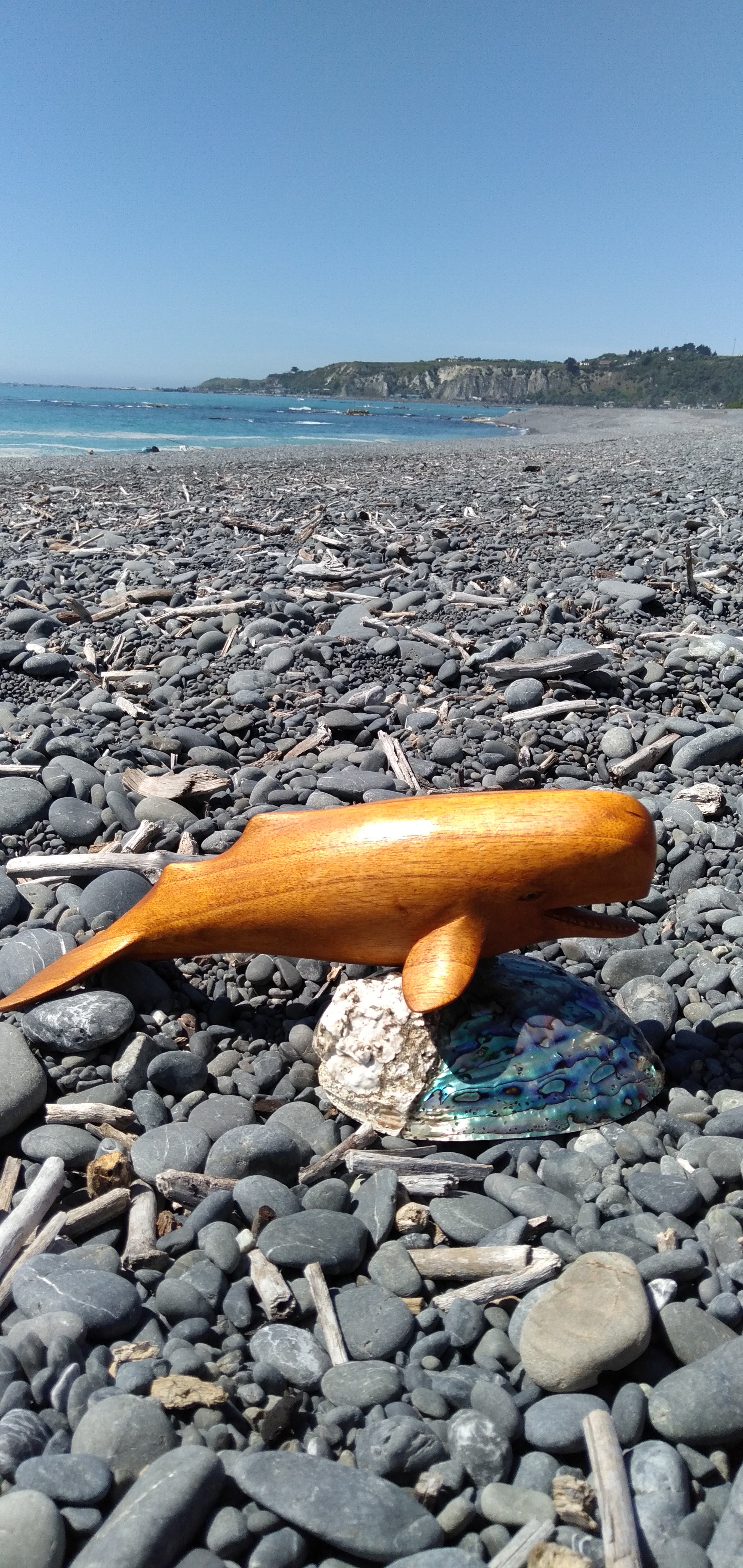 Wooden Sperm Whale from Pacific Jewel - Southern Paua New Zealand