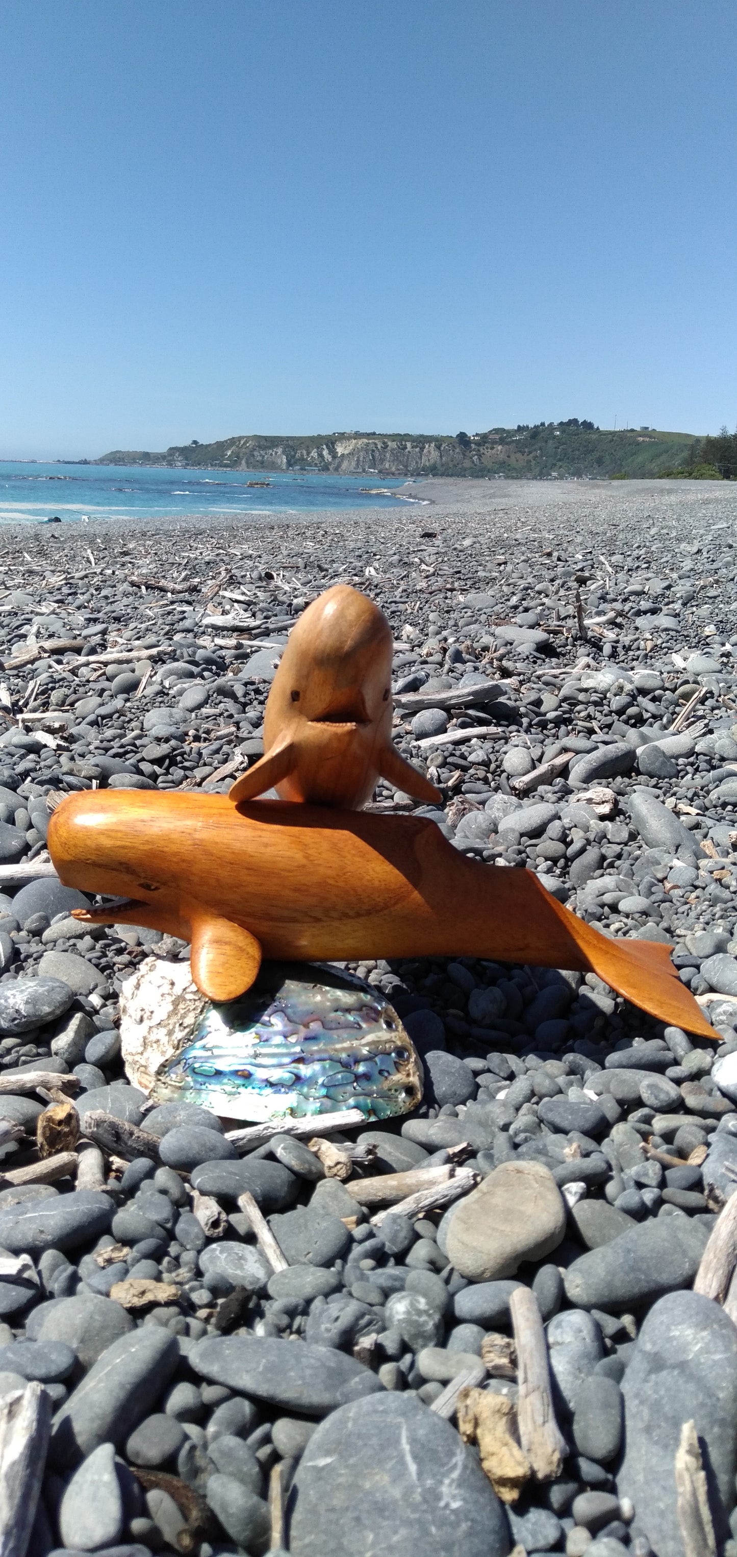 Wooden Sperm Whale from Pacific Jewel - Southern Paua New Zealand