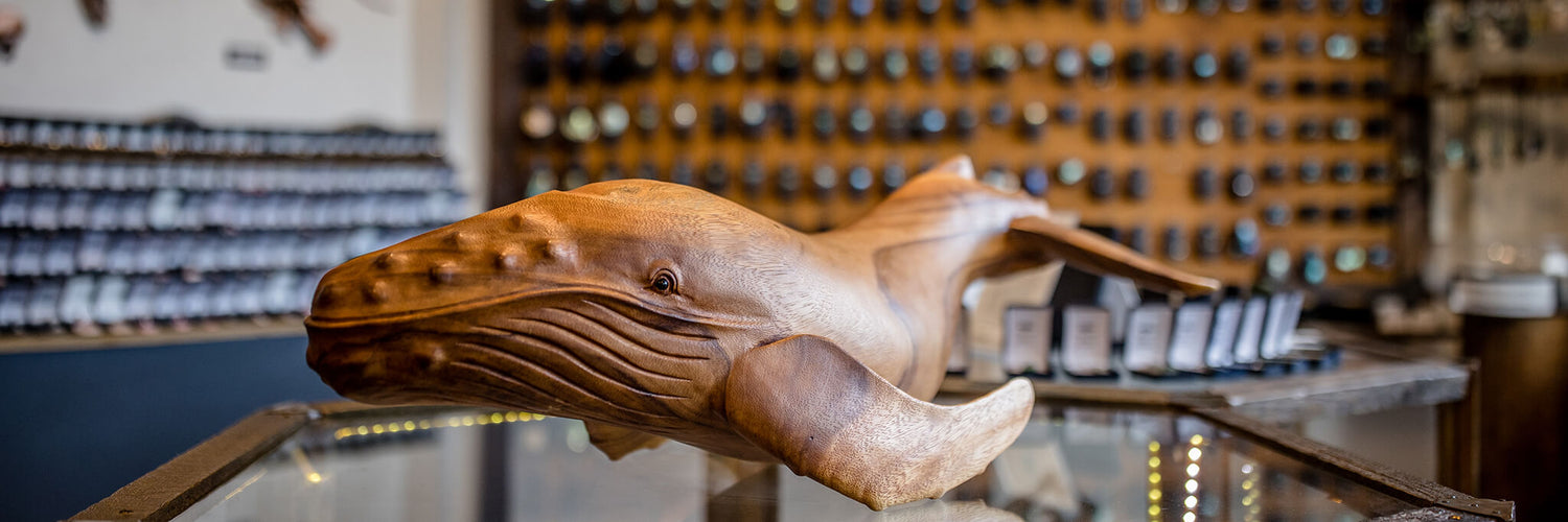 Carved wooden Whale from Pacific Jewels - Southern Paua in Kaikoura, NZ