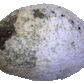 Paua Shell Grounding Service from Pacific Jewel - Southern Paua New Zealand