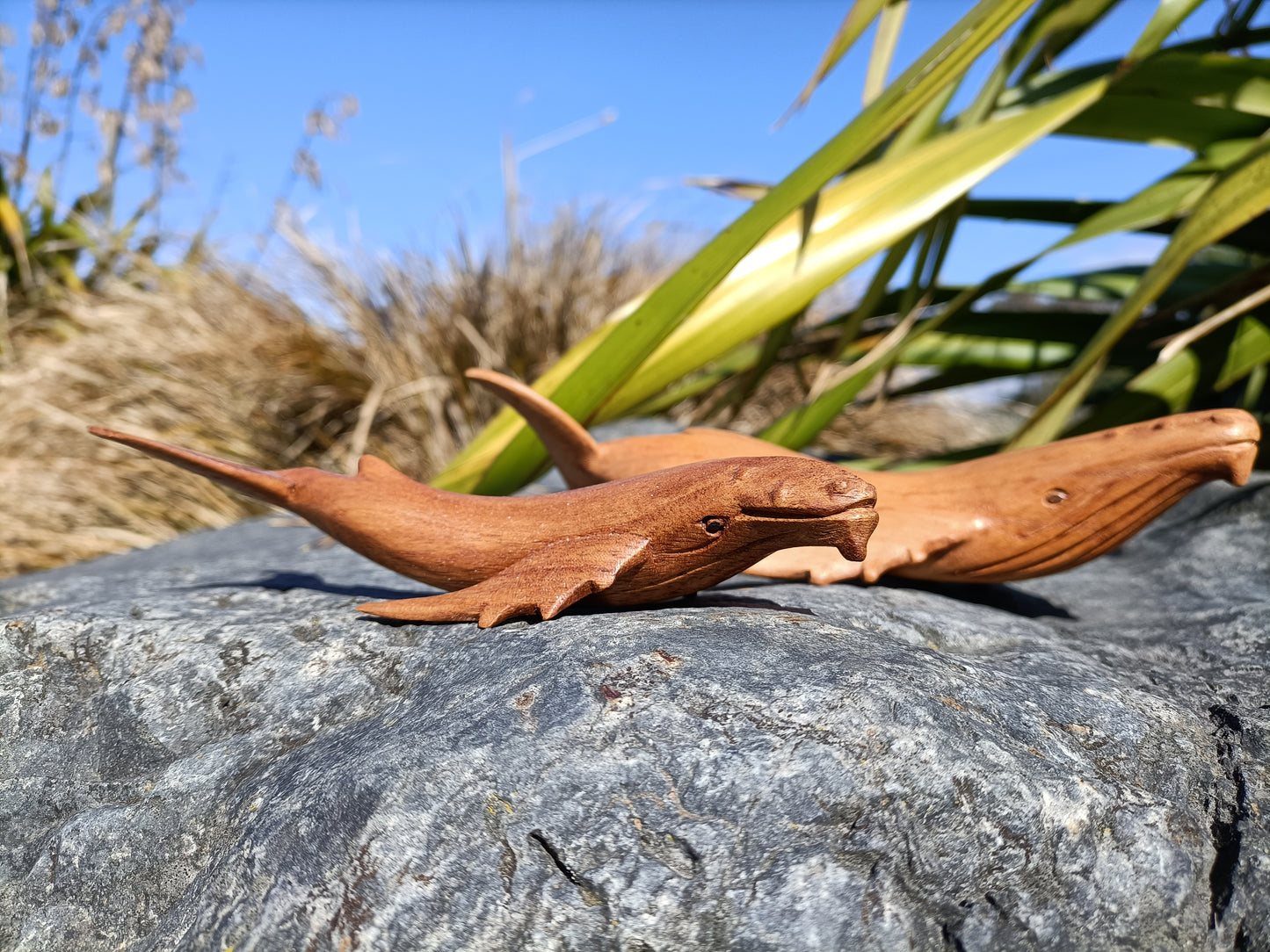 Wooden Humpback Whale Medium from Pacific Jewel - Southern Paua New Zealand