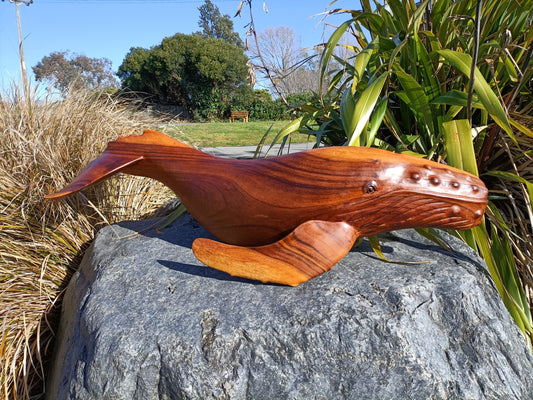 Wooden Carved Humpback Whale from Pacific Jewel - Southern Paua New Zealand