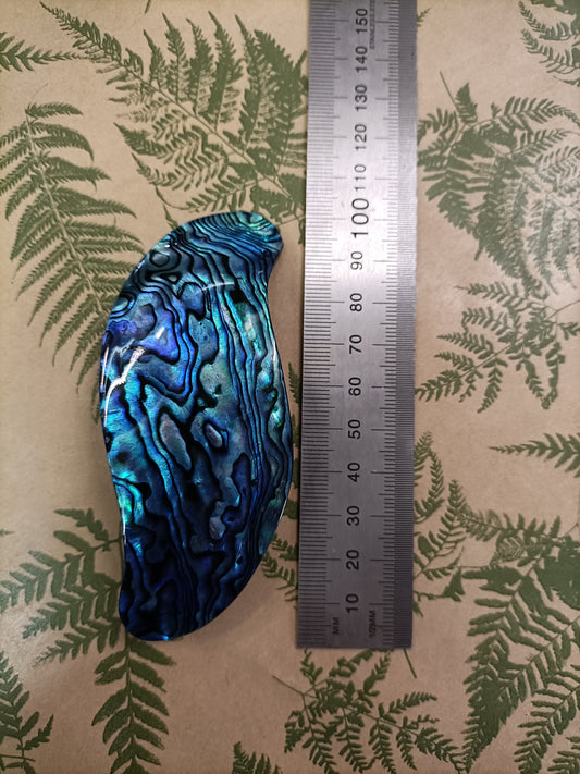 Large Paua "S" Hair Clip from Pacific Jewel - Southern Paua New Zealand