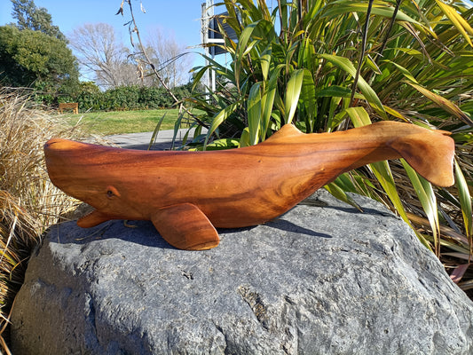 Wooden Carved Sperm Whale from Pacific Jewel - Southern Paua New Zealand