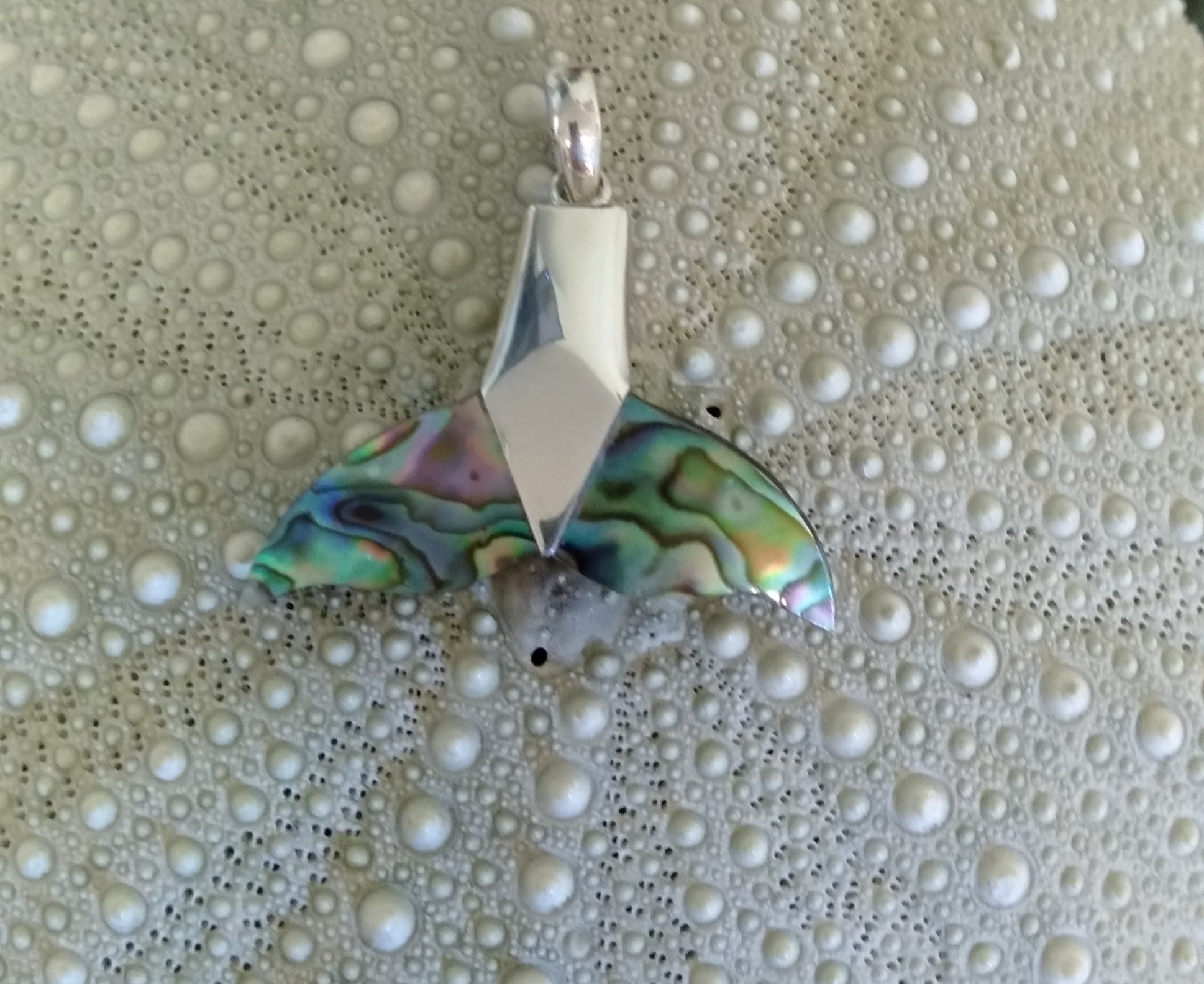 Paua 'Whale Tail' Pendant from Pacific Jewel - Southern Paua New Zealand
